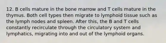 12. B cells mature in the bone marrow and T cells mature in the thymus. Both cell types then migrate to lymphoid tissue such as the lymph nodes and spleen. After this, the B and T cells constantly recirculate through the circulatory system and lymphatics, migrating into and out of the lymphoid organs.