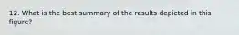 12. What is the best summary of the results depicted in this figure?