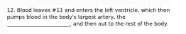 12. Blood leaves #11 and enters the left ventricle, which then pumps blood in the body's largest artery, the ________________________, and then out to the rest of the body.