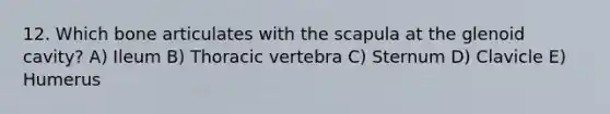 12. Which bone articulates with the scapula at the glenoid cavity? A) Ileum B) Thoracic vertebra C) Sternum D) Clavicle E) Humerus