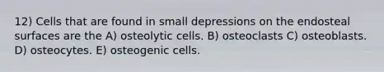 12) Cells that are found in small depressions on the endosteal surfaces are the A) osteolytic cells. B) osteoclasts C) osteoblasts. D) osteocytes. E) osteogenic cells.