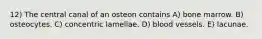 12) The central canal of an osteon contains A) bone marrow. B) osteocytes. C) concentric lamellae. D) blood vessels. E) lacunae.