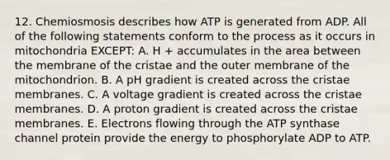 12. Chemiosmosis describes how ATP is generated from ADP. All of the following statements conform to the process as it occurs in mitochondria EXCEPT: A. H + accumulates in the area between the membrane of the cristae and the outer membrane of the mitochondrion. B. A pH gradient is created across the cristae membranes. C. A voltage gradient is created across the cristae membranes. D. A proton gradient is created across the cristae membranes. E. Electrons flowing through the ATP synthase channel protein provide the energy to phosphorylate ADP to ATP.