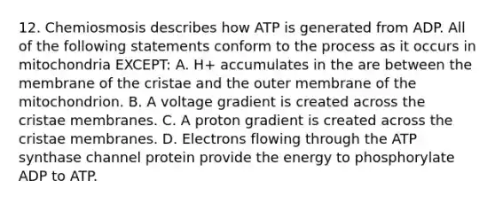 12. Chemiosmosis describes how ATP is generated from ADP. All of the following statements conform to the process as it occurs in mitochondria EXCEPT: A. H+ accumulates in the are between the membrane of the cristae and the outer membrane of the mitochondrion. B. A voltage gradient is created across the cristae membranes. C. A proton gradient is created across the cristae membranes. D. Electrons flowing through the ATP synthase channel protein provide the energy to phosphorylate ADP to ATP.