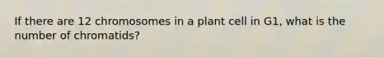 If there are 12 chromosomes in a plant cell in G1, what is the number of chromatids?