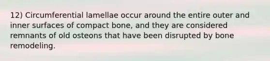 12) Circumferential lamellae occur around the entire outer and inner surfaces of compact bone, and they are considered remnants of old osteons that have been disrupted by bone remodeling.