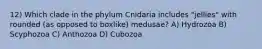 12) Which clade in the phylum Cnidaria includes "jellies" with rounded (as opposed to boxlike) medusae? A) Hydrozoa B) Scyphozoa C) Anthozoa D) Cubozoa