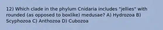 12) Which clade in the phylum Cnidaria includes "jellies" with rounded (as opposed to boxlike) medusae? A) Hydrozoa B) Scyphozoa C) Anthozoa D) Cubozoa