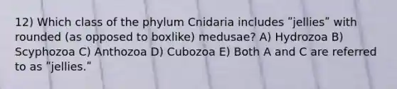 12) Which class of the phylum Cnidaria includes ʺjelliesʺ with rounded (as opposed to boxlike) medusae? A) Hydrozoa B) Scyphozoa C) Anthozoa D) Cubozoa E) Both A and C are referred to as ʺjellies.ʺ