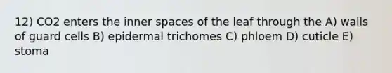 12) CO2 enters the inner spaces of the leaf through the A) walls of guard cells B) epidermal trichomes C) phloem D) cuticle E) stoma