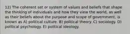 12) The coherent set or system of values and beliefs that shape the thinking of individuals and how they view the world, as well as their beliefs about the purpose and scope of government, is known as A) political culture. B) political theory. C) sociology. D) political psychology. E) political ideology.