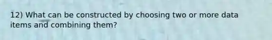 12) What can be constructed by choosing two or more data items and combining them?