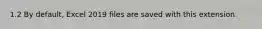 1.2 By default, Excel 2019 files are saved with this extension.