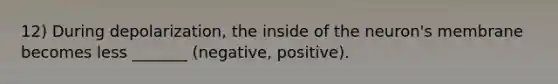 12) During depolarization, the inside of the neuron's membrane becomes less _______ (negative, positive).