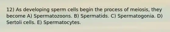 12) As developing sperm cells begin the process of meiosis, they become A) Spermatozoons. B) Spermatids. C) Spermatogonia. D) Sertoli cells. E) Spermatocytes.