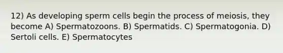 12) As developing sperm cells begin the process of meiosis, they become A) Spermatozoons. B) Spermatids. C) Spermatogonia. D) Sertoli cells. E) Spermatocytes