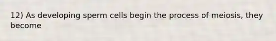 12) As developing sperm cells begin the process of meiosis, they become