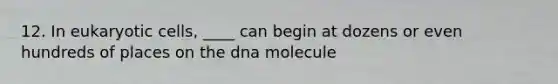 12. In eukaryotic cells, ____ can begin at dozens or even hundreds of places on the dna molecule