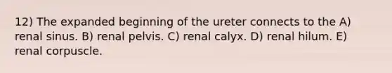 12) The expanded beginning of the ureter connects to the A) renal sinus. B) renal pelvis. C) renal calyx. D) renal hilum. E) renal corpuscle.