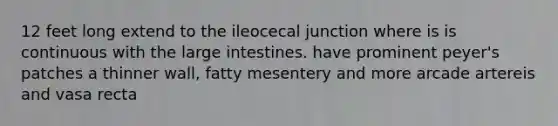 12 feet long extend to the ileocecal junction where is is continuous with the <a href='https://www.questionai.com/knowledge/kGQjby07OK-large-intestine' class='anchor-knowledge'>large intestine</a>s. have prominent peyer's patches a thinner wall, fatty mesentery and more arcade artereis and vasa recta