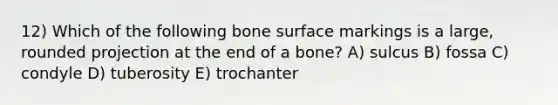 12) Which of the following bone surface markings is a large, rounded projection at the end of a bone? A) sulcus B) fossa C) condyle D) tuberosity E) trochanter