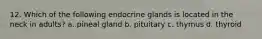 12. Which of the following endocrine glands is located in the neck in adults? a. pineal gland b. pituitary c. thymus d. thyroid
