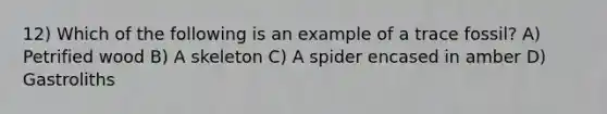 12) Which of the following is an example of a trace fossil? A) Petrified wood B) A skeleton C) A spider encased in amber D) Gastroliths