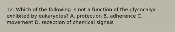 12. Which of the following is not a function of the glycocalyx exhibited by eukaryotes? A. protection B. adherence C. movement D. reception of chemical signals