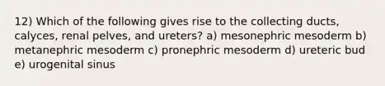 12) Which of the following gives rise to the collecting ducts, calyces, renal pelves, and ureters? a) mesonephric mesoderm b) metanephric mesoderm c) pronephric mesoderm d) ureteric bud e) urogenital sinus