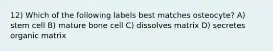 12) Which of the following labels best matches osteocyte? A) stem cell B) mature bone cell C) dissolves matrix D) secretes organic matrix