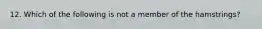 12. Which of the following is not a member of the hamstrings?