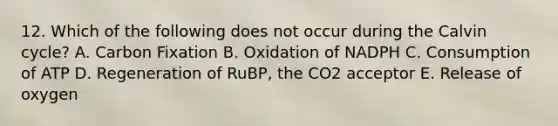 12. Which of the following does not occur during the Calvin cycle? A. Carbon Fixation B. Oxidation of NADPH C. Consumption of ATP D. Regeneration of RuBP, the CO2 acceptor E. Release of oxygen