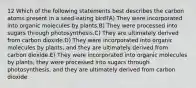 12 Which of the following statements best describes the carbon atoms present in a seed-eating bird?A) They were incorporated into organic molecules by plants.B) They were processed into sugars through photosynthesis.C) They are ultimately derived from carbon dioxide.D) They were incorporated into organic molecules by plants, and they are ultimately derived from carbon dioxide.E) They were incorporated into organic molecules by plants, they were processed into sugars through photosynthesis, and they are ultimately derived from carbon dioxide.