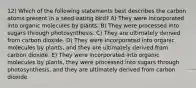 12) Which of the following statements best describes the carbon atoms present in a seed-eating bird? A) They were incorporated into organic molecules by plants. B) They were processed into sugars through photosynthesis. C) They are ultimately derived from carbon dioxide. D) They were incorporated into organic molecules by plants, and they are ultimately derived from carbon dioxide. E) They were incorporated into organic molecules by plants, they were processed into sugars through photosynthesis, and they are ultimately derived from carbon dioxide.