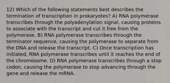 12) Which of the following statements best describes the termination of transcription in prokaryotes? A) RNA polymerase transcribes through the polyadenylation signal, causing proteins to associate with the transcript and cut it free from the polymerase. B) RNA polymerase transcribes through the terminator sequence, causing the polymerase to separate from the DNA and release the transcript. C) Once transcription has initiated, RNA polymerase transcribes until it reaches the end of the chromosome. D) RNA polymerase transcribes through a stop codon, causing the polymerase to stop advancing through the gene and release the mRNA.