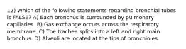12) Which of the following statements regarding bronchial tubes is FALSE? A) Each bronchus is surrounded by pulmonary capillaries. B) Gas exchange occurs across the respiratory membrane. C) The trachea splits into a left and right main bronchus. D) Alveoli are located at the tips of bronchioles.