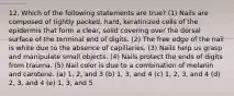 12. Which of the following statements are true? (1) Nails are composed of tightly packed, hard, keratinized cells of the epidermis that form a clear, solid covering over the dorsal surface of the terminal end of digits. (2) The free edge of the nail is white due to the absence of capillaries. (3) Nails help us grasp and manipulate small objects. (4) Nails protect the ends of digits from trauma. (5) Nail color is due to a combination of melanin and carotene. (a) 1, 2, and 3 (b) 1, 3, and 4 (c) 1, 2, 3, and 4 (d) 2, 3, and 4 (e) 1, 3, and 5