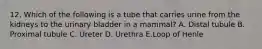 12. Which of the following is a tube that carries urine from the kidneys to the urinary bladder in a mammal? A. Distal tubule B. Proximal tubule C. Ureter D. Urethra E.Loop of Henle