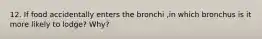 12. If food accidentally enters the bronchi ,in which bronchus is it more likely to lodge? Why?