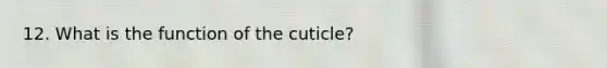 12. What is the function of the cuticle?