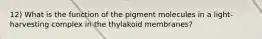 12) What is the function of the pigment molecules in a light-harvesting complex in the thylakoid membranes?