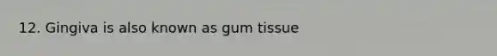 12. Gingiva is also known as gum tissue