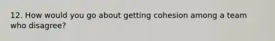 12. How would you go about getting cohesion among a team who disagree?