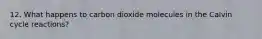 12. What happens to carbon dioxide molecules in the Calvin cycle reactions?