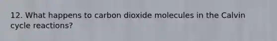 12. What happens to carbon dioxide molecules in the Calvin cycle reactions?