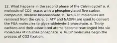 12. What happens in the second phase of the Calvin cycle? a. A molecule of CO2 reacts with a phosphorylated five-carbon compound, ribulose bisphosphate. b. Two G3P molecules are removed from the cycle. c. ATP and NADPH are used to convert the PGA molecules to glyceraldehyde-3-phosphate. d. Thirty carbons and their associated atoms become rearranged into six molecules of ribulose phosphate. e. RuBP molecules begin the process of CO2 fixation.