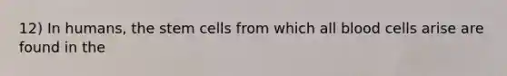 12) In humans, the stem cells from which all blood cells arise are found in the