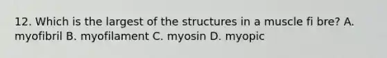 12. Which is the largest of the structures in a muscle fi bre? A. myofibril B. myofilament C. myosin D. myopic