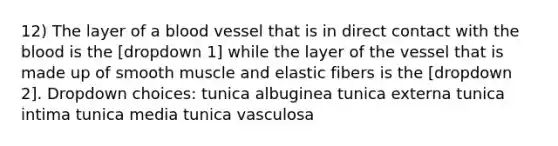 12) The layer of a blood vessel that is in direct contact with the blood is the [dropdown 1] while the layer of the vessel that is made up of smooth muscle and elastic fibers is the [dropdown 2]. Dropdown choices: tunica albuginea tunica externa tunica intima tunica media tunica vasculosa