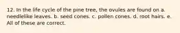 12. In the life cycle of the pine tree, the ovules are found on a. needlelike leaves. b. seed cones. c. pollen cones. d. root hairs. e. All of these are correct.